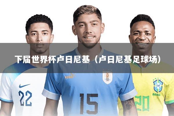 下届世界杯卢日尼基（卢日尼基足球场）