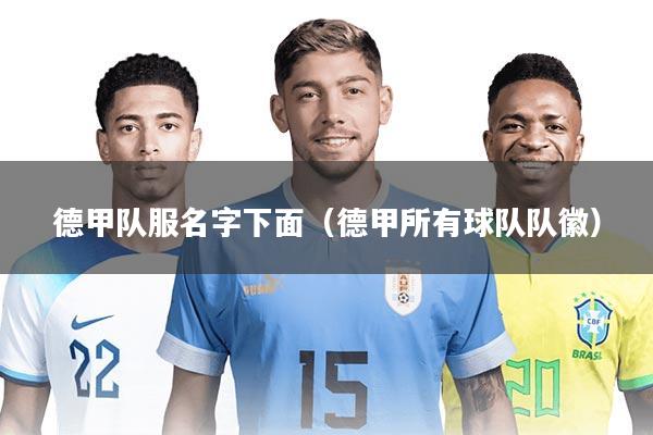 德甲队服名字下面（德甲所有球队队徽）