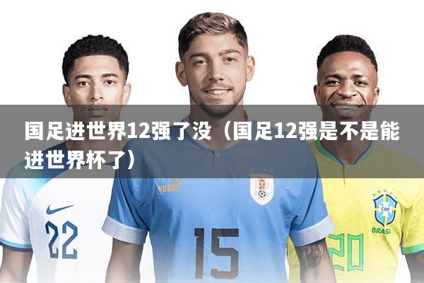 国足进世界12强了没（国足12强是不是能进世界杯了）